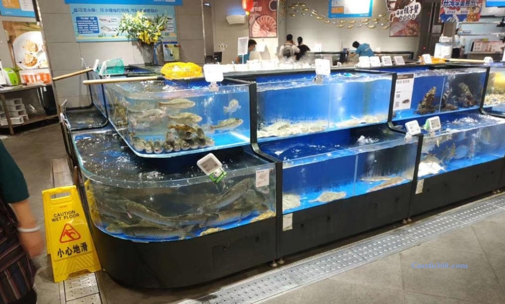 上海闵行区都市路冷水机维修